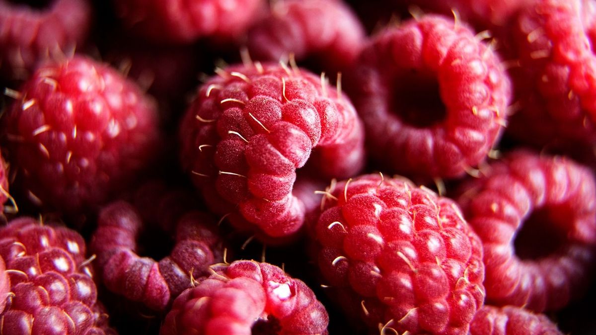 Raspberry
Red raspberries macro. Texture- raspberry.