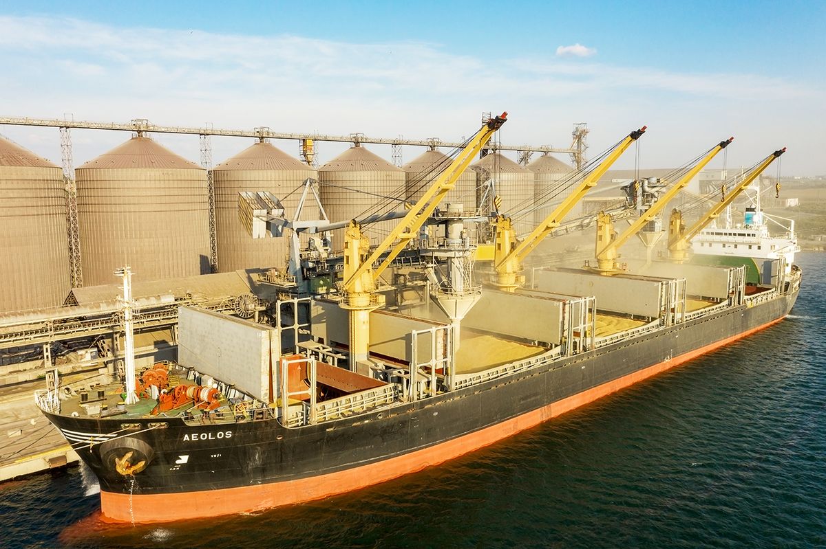 Odessa,,Ukraine,-,August,9,,2021:,Loading,Grain,Into,HoldsODESSA, UKRAINE - August 9, 2021: Loading grain into holds of sea cargo vessel through an automatic line in seaport from silos of grain storage. Bunkering of dry cargo ship with grain