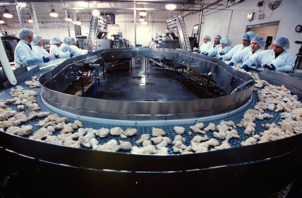 Tyson Foods
Employees of Tyson Foods Inc. process chicken. --- Photo by Greg Smith/Corbis SABA | Location: SPRINGDALE, ARKANSAS, United States. (Photo by Greg Smith/Corbis via Getty Images)
