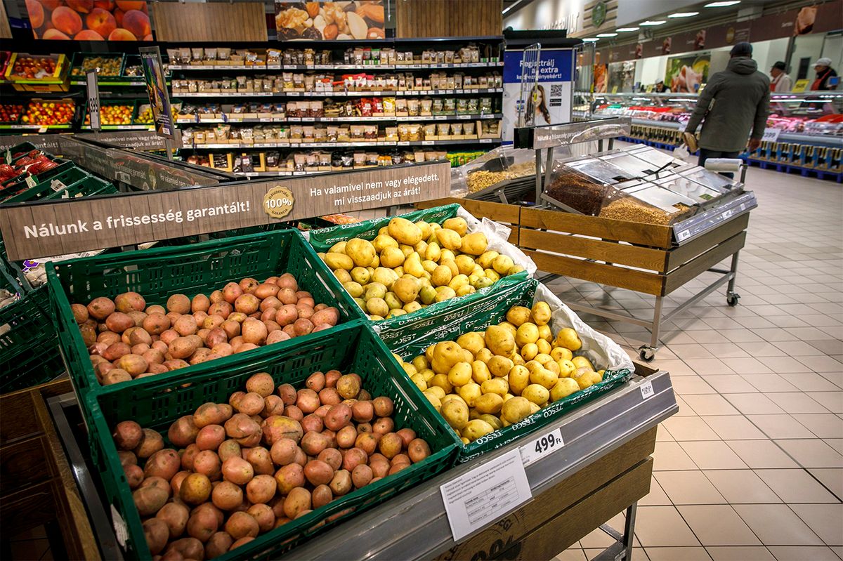 20221123 Budaörs 
Tesco   karácsonyi polcok  
karácsonyi bevásárlás 
