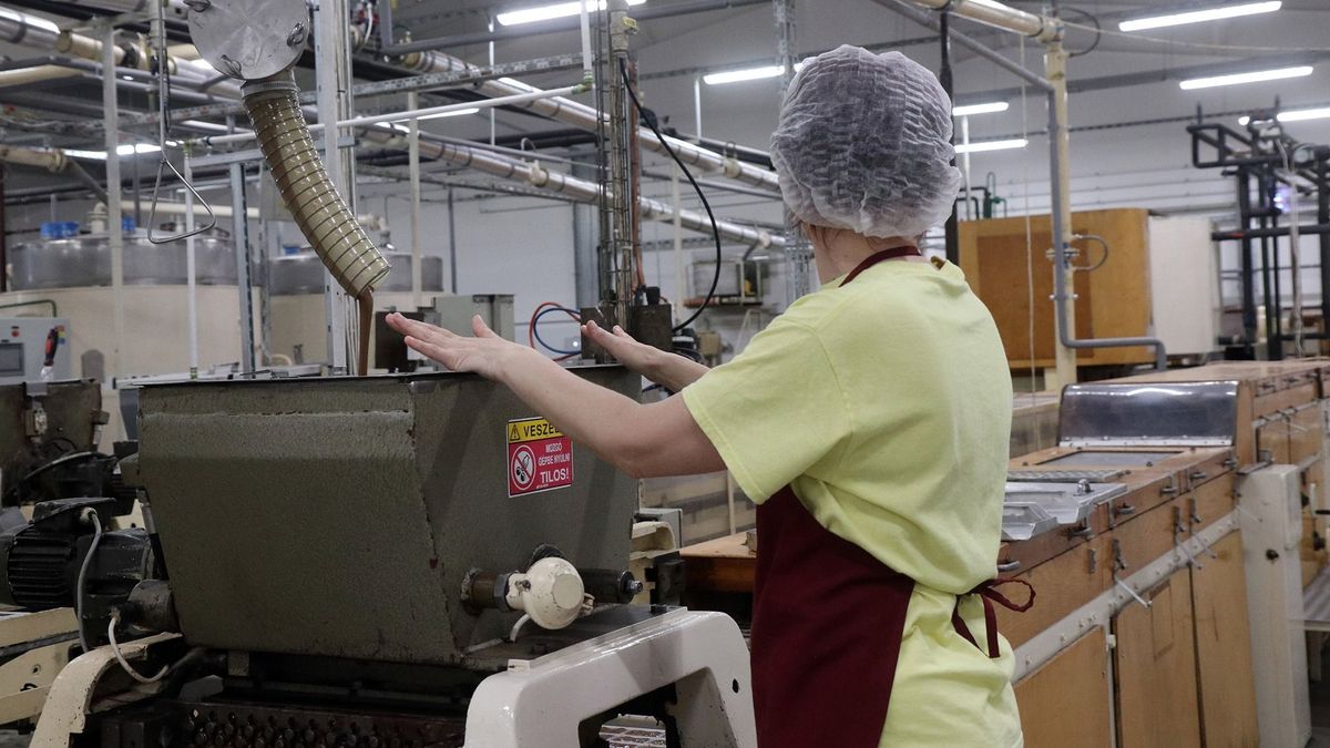 Segíti a versenyképesség növelését az MNB és a GVH új Versenystatisztikai adatbázisa