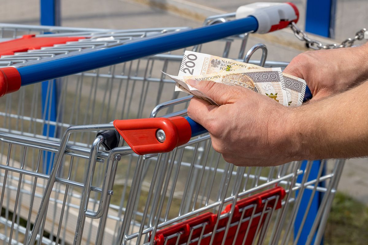 Shopping,Cart,In,A,Supermarket,And,Polish,Zloty,Money,,Held