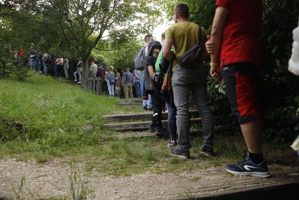 Suhajda Szilárd megemlékezése
2023.05.30.
hegymászó, barlangász
Fotók:
Vémi Zoltán / Világgazdaság