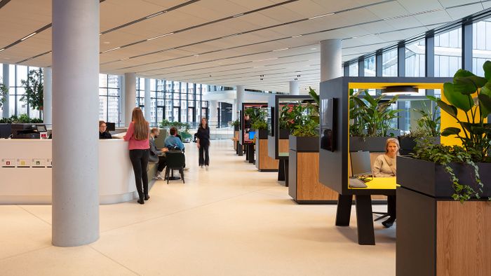 MOL Campus MOL+KINZO 