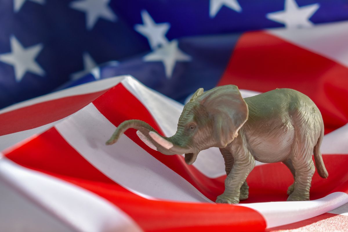 Republican,Elephant,With,American,Flag,On,Wooden