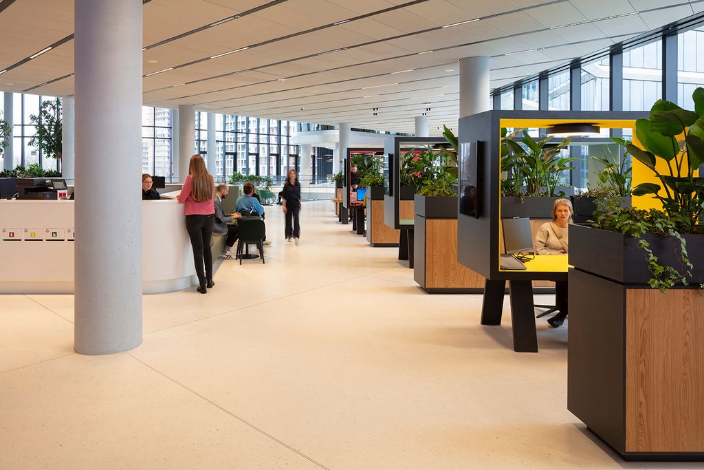 MOL Campus MOL+KINZO 