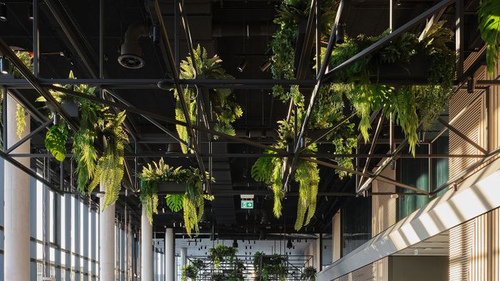 MOL Campus MOL+KINZO 