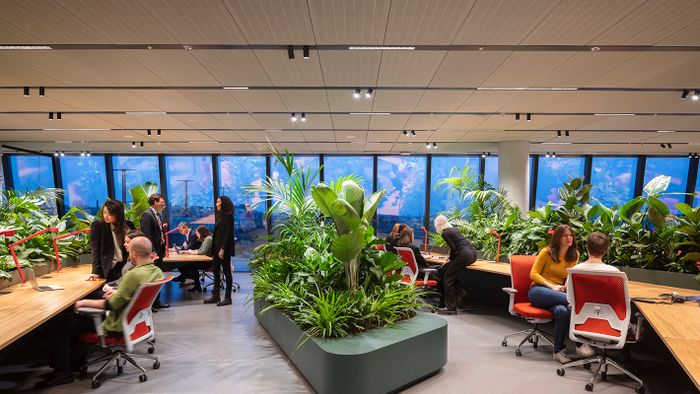 MOL Campus MOL+KINZO 