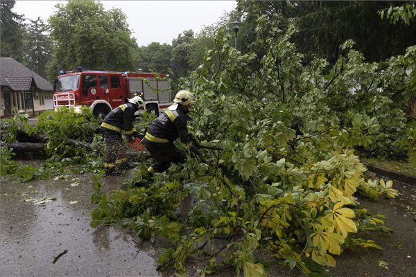 A viharban kidőlt fát távolítanak el az útról tűzoltók Nagykanizsán 2023. június 23-án.