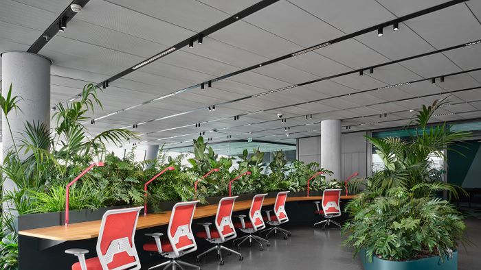 MOL Campus MOL+KINZO 