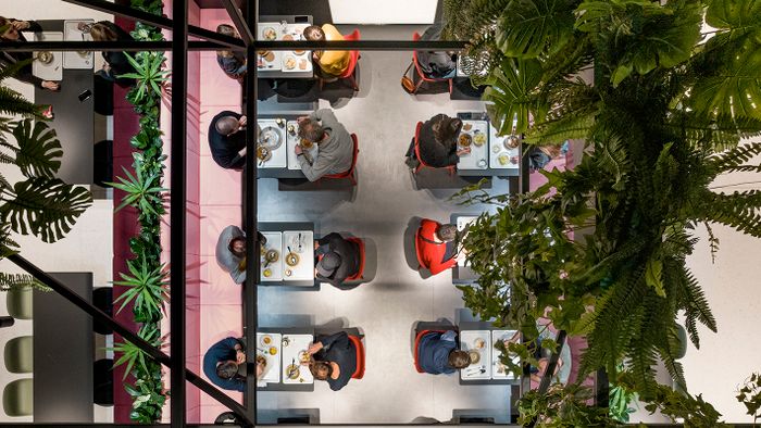 MOL Campus MOL+KINZO 