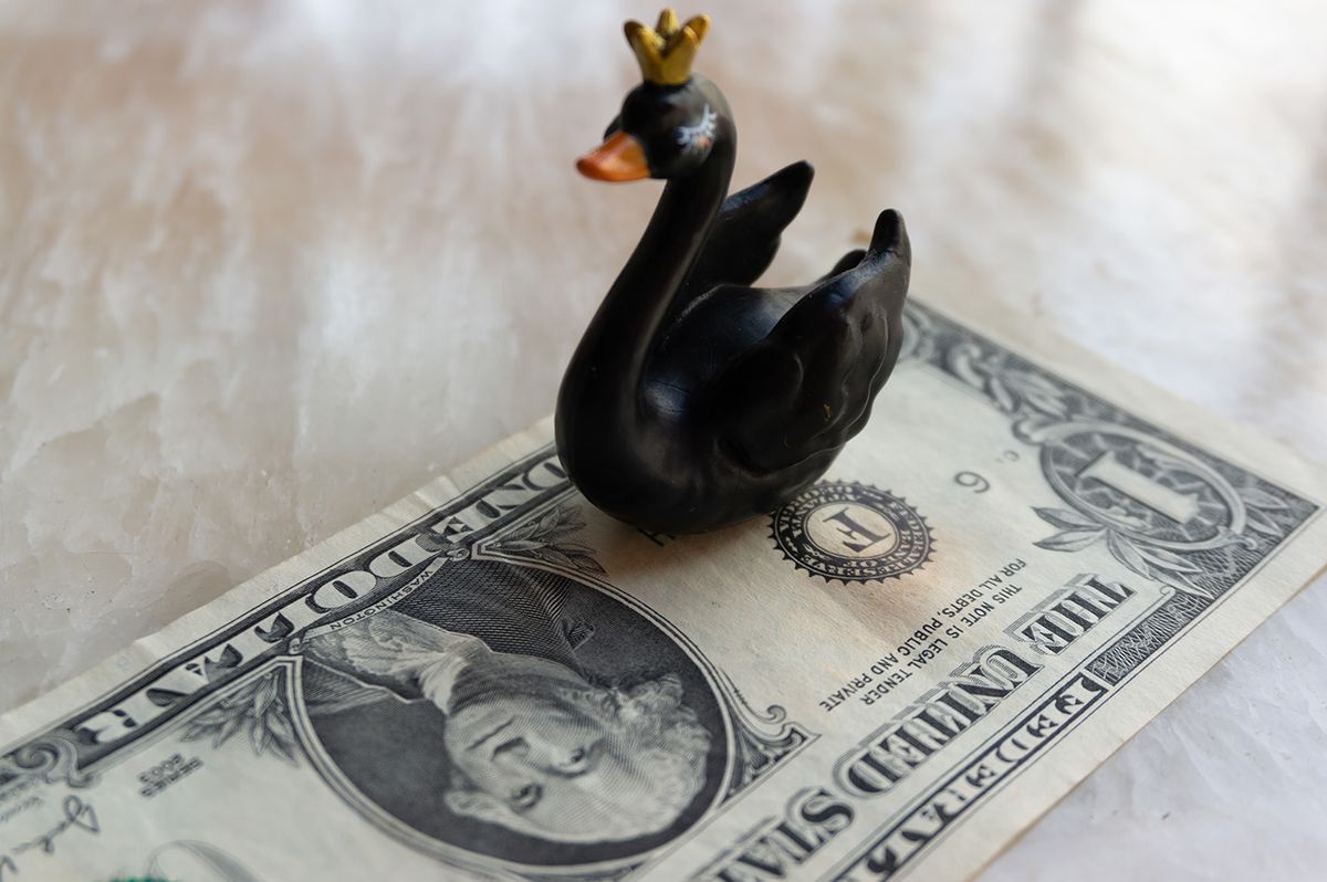 A,Black,Swan,Is,Placed,On,A,Dollar,Note.,An