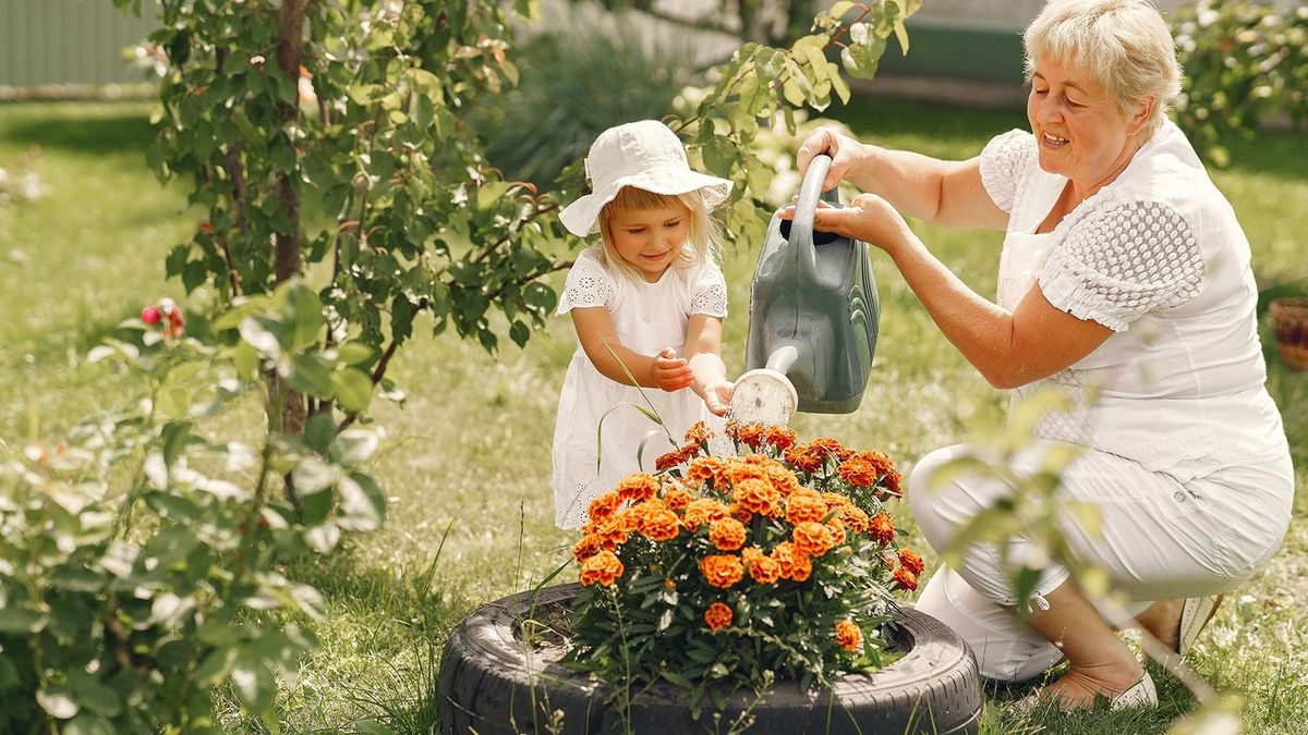 Little,Girl,And,Her,Grandmother,Watering,Flowers,In,Garden
Little girl and her grandmother watering flowers in garden