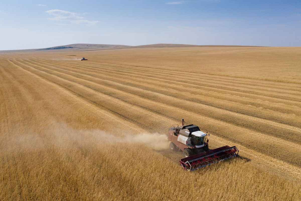 Harvesting wheat with combine harvesters in the Orenburg region, Russia
ORENBURG, RUSSIA - AUGUST 31: An aerial photo shows a combine harvester cutting through a field of wheat during harvesting season in the Orenburg region, Russia on August 31, 2022. Farmers of the Ural region received a large amount of wheat harvest due to the dry climate in the southern regions as it allows harvest even at nights without dew. Aleksander Murzyak / Anadolu Agency (Photo by Aleksander Murzyak / ANADOLU AGENCY / Anadolu Agency via AFP)