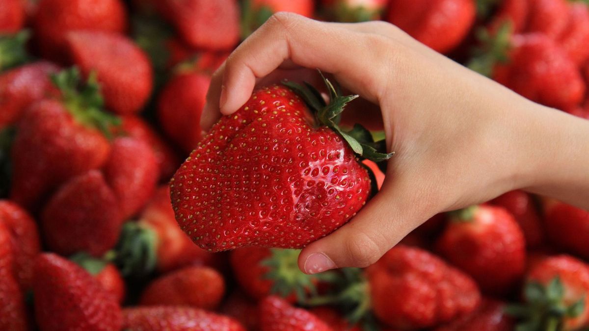 Ha ilyet vett azonnal vigye vissza a boltba: népszerű gyümölcsöt hívott vissza a Spar növényvédőszer-tartalom miatt 