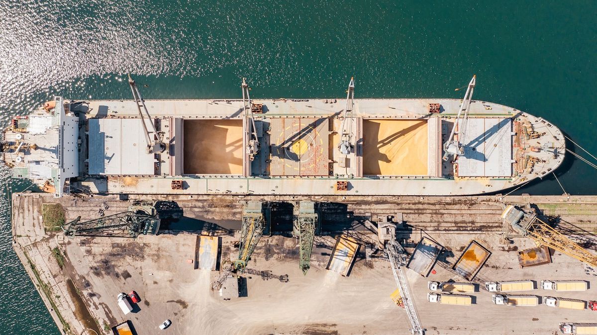 Aerial,Top,Down,View,Black,Sea,Port,Loading,Of,Dry
Aerial Top down view Black Sea port Loading of dry cargo ship with ukranian grain by cranes. Maritime grain Import and export concept