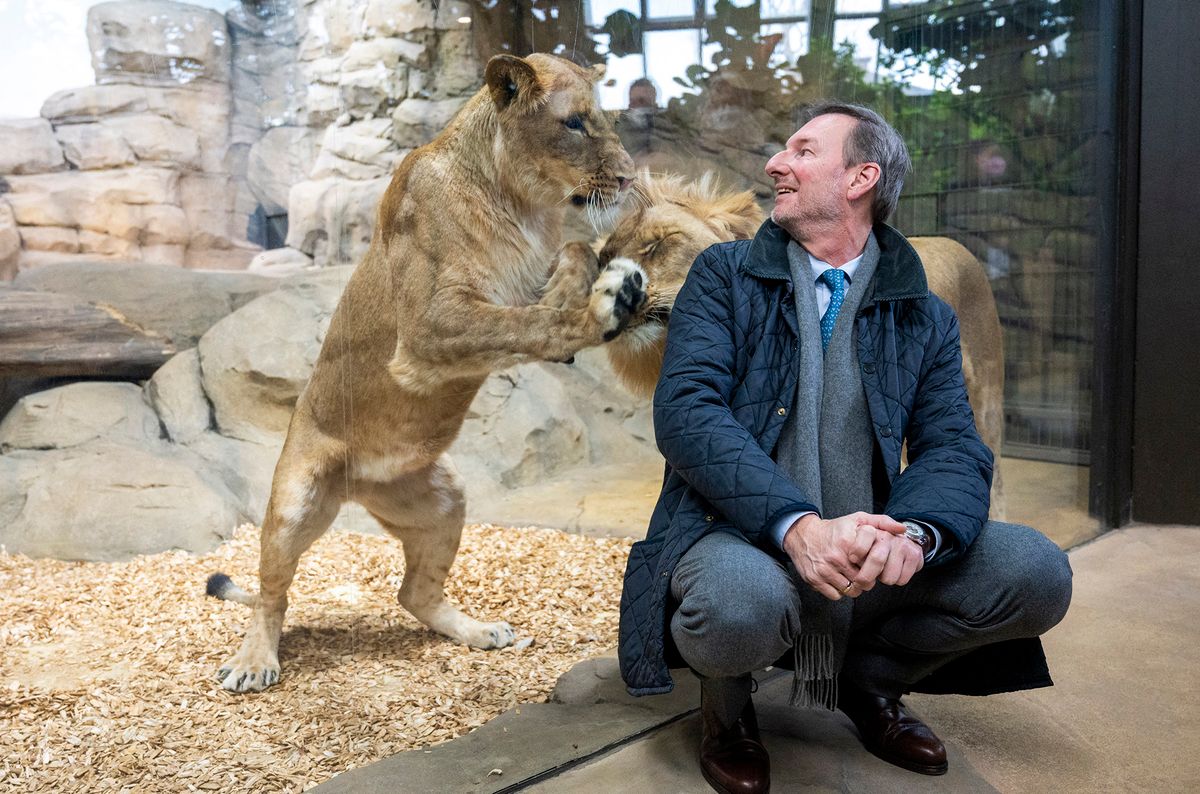 House of carnivores at Berlin Zoo reopens