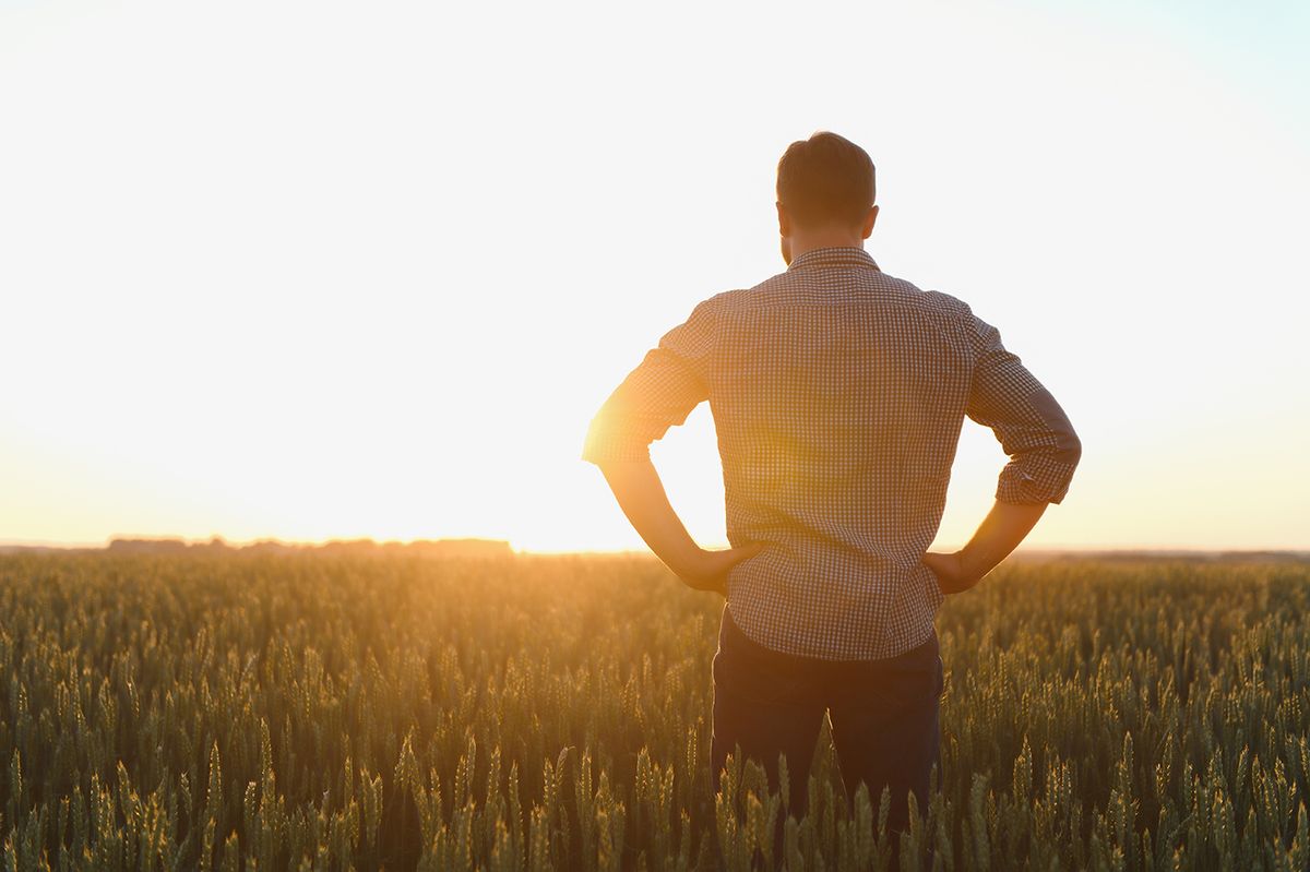 Silhouette,Of,Man,Looking,At,Beautiful,Landscape,In,A,Field