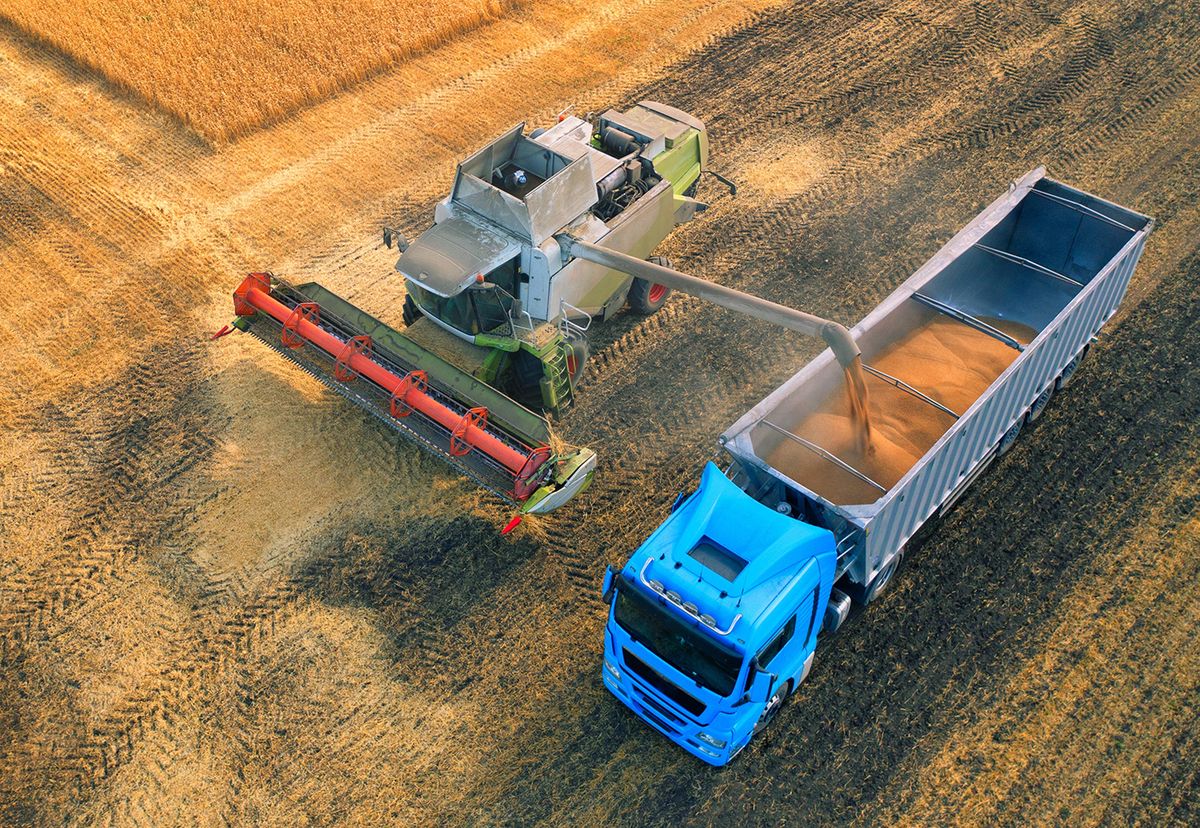 The,Combine,Delivers,Threshed,Grain,To,The,Truck.,Harvest,Season