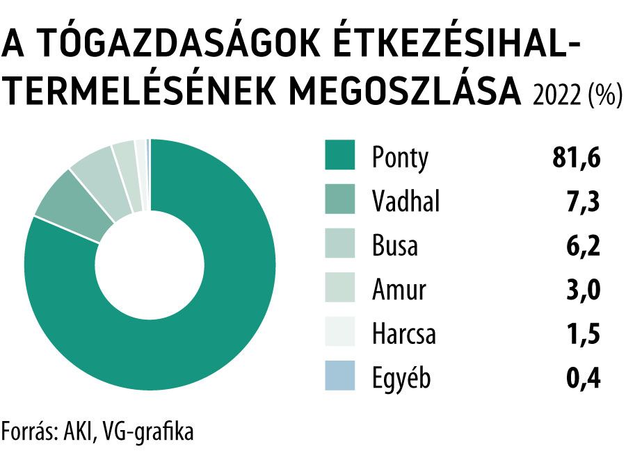 A tógazdaságok étkezésihal-termelésének megoszlása 2022
