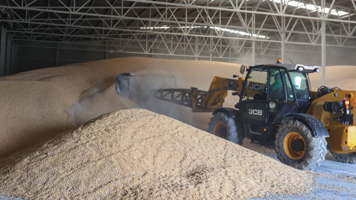 Nagyot hízott idén EU agrár-külkereskedelmi többlete