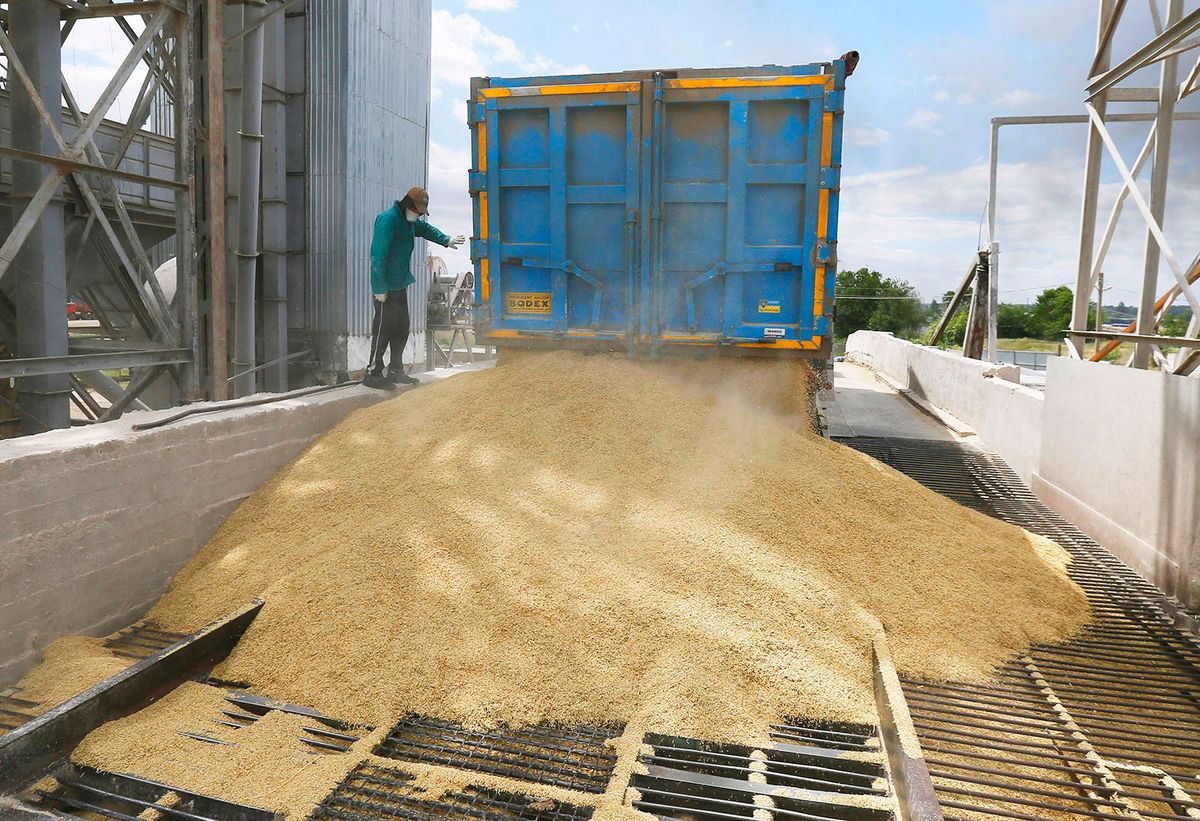 A Grain Terminal In Odesa Region, Amid Russia's Invasion Of Ukraine
A truck unloads barley grain at a grain terminal, amid Russia's invasion of Ukraine, in Odesa region, Ukraine 22 June 2022. 7 million tonnes of wheat, 14 million tonnes of corn grain, 3 million tonnes of sunflower oil, and 3 million tonnes of sunflower meal have not entered the world market due to Russia’s blockade of Ukrainian seaports, that has led to a record rise in world market prices and will inevitably result in a global food crisis and rising inflation, as media informed. (Photo by STR/NurPhoto) (Photo by NurPhoto / NurPhoto via AFP)