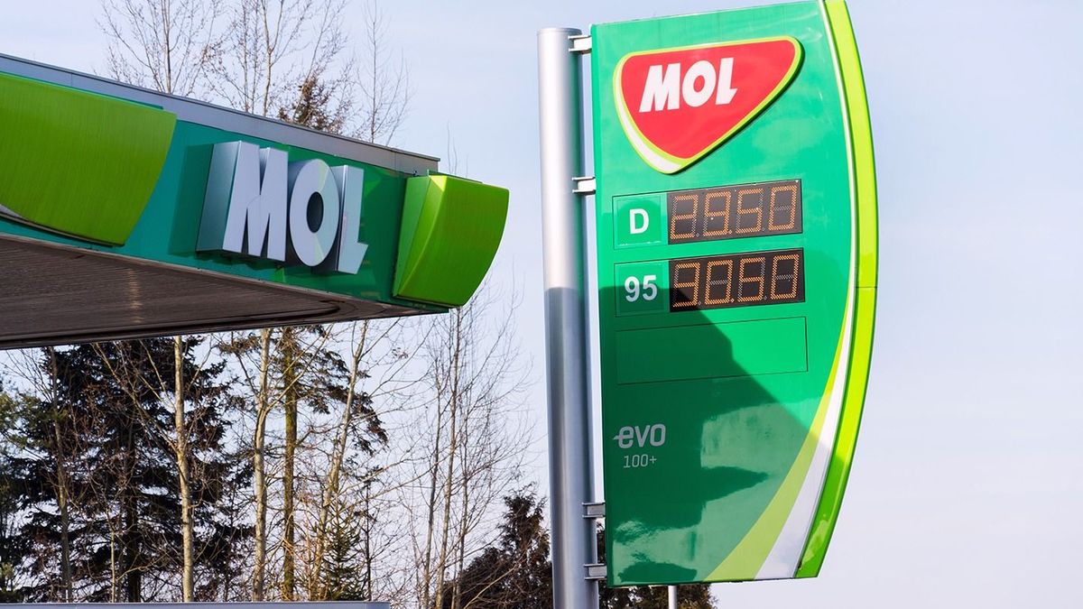 Utolsó figyelmeztetés: a kormány asztalhoz ültette a Molt és jelentést kér