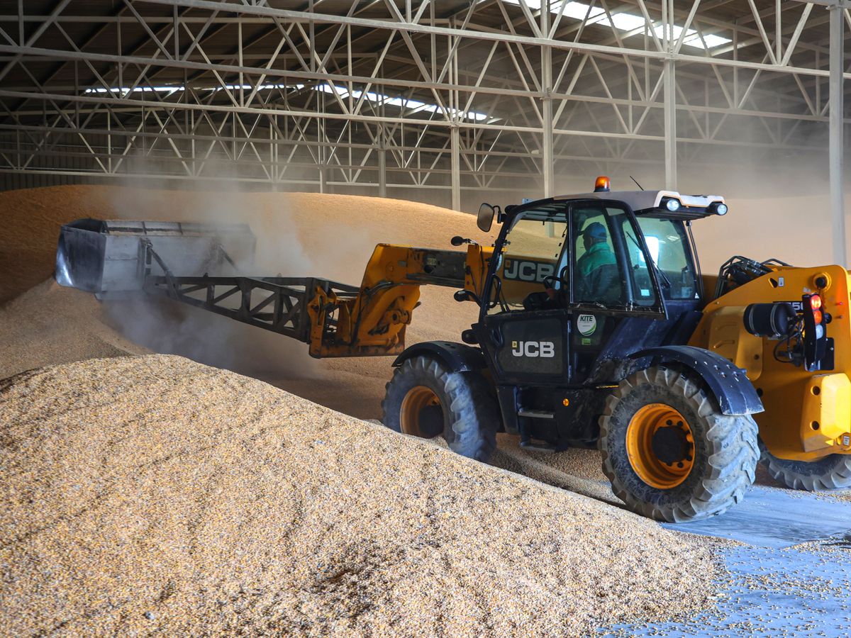 20230427 Tiszabezdéd Kulcsár Bertalan tiszabezdédi gazdasága, ahol 1100 tonna búzát, valamint 1400 tonna kukoricát tárol – mindkét gabonaféle Ukrajnából származik.Fotó: Dodó Ferenc DFKelet-Magyarország  20230427 Tiszabezdéd 

Kulcsár Bertalan tiszabezdédi gazdasága, ahol 1100 
tonna búzát, valamint 1400 tonna kukoricát tárol – mindkét gabonaféle Ukrajnából származik.
Fotó: Dodó Ferenc DF
Kelet-Magyarország 