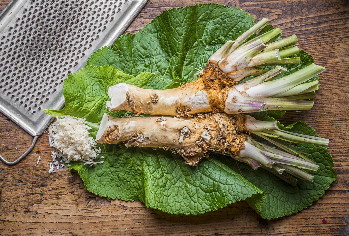 Grated,Horseradish,On,A,Table,
torma, gyökér, 