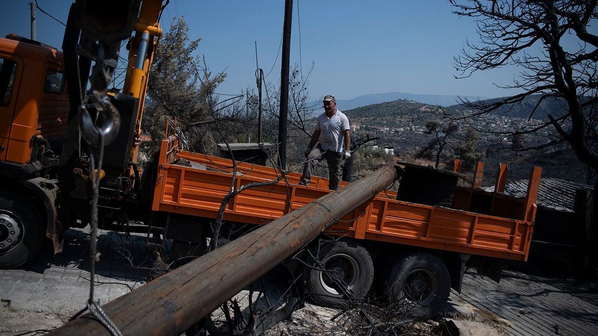 A Profession elárulta, hogyan keressünk fizikai dolgozókat