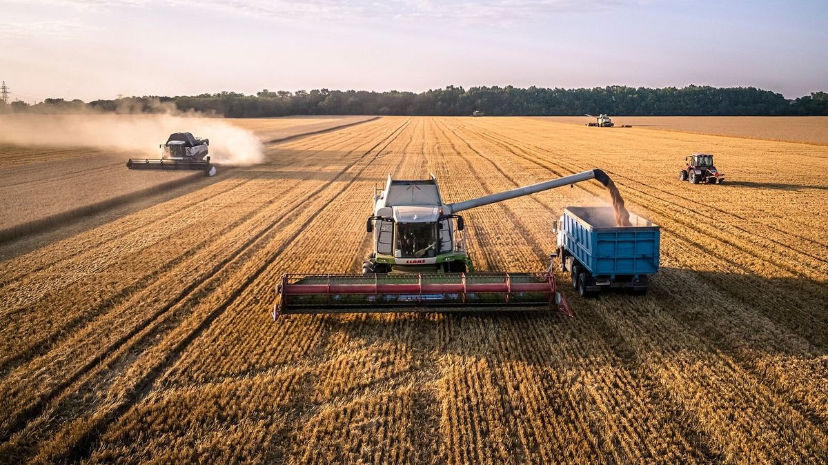 July 20, 2021, Russia, Krasnodar Territory. Harvester working in a wheat field at sunset