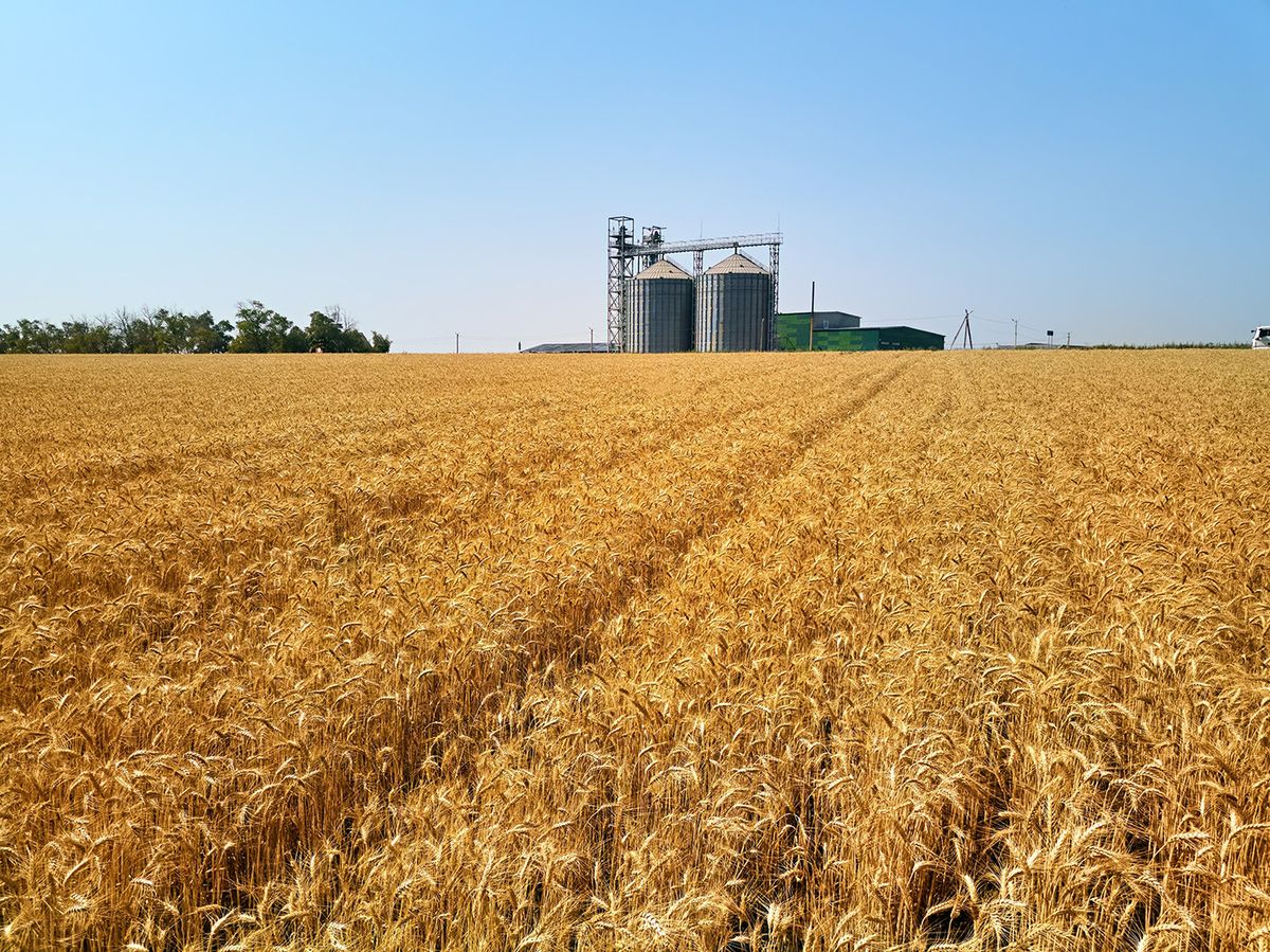 Aerial,Of,Grain,Elevator,In,Front,Of,Wheat,Field.,Drone