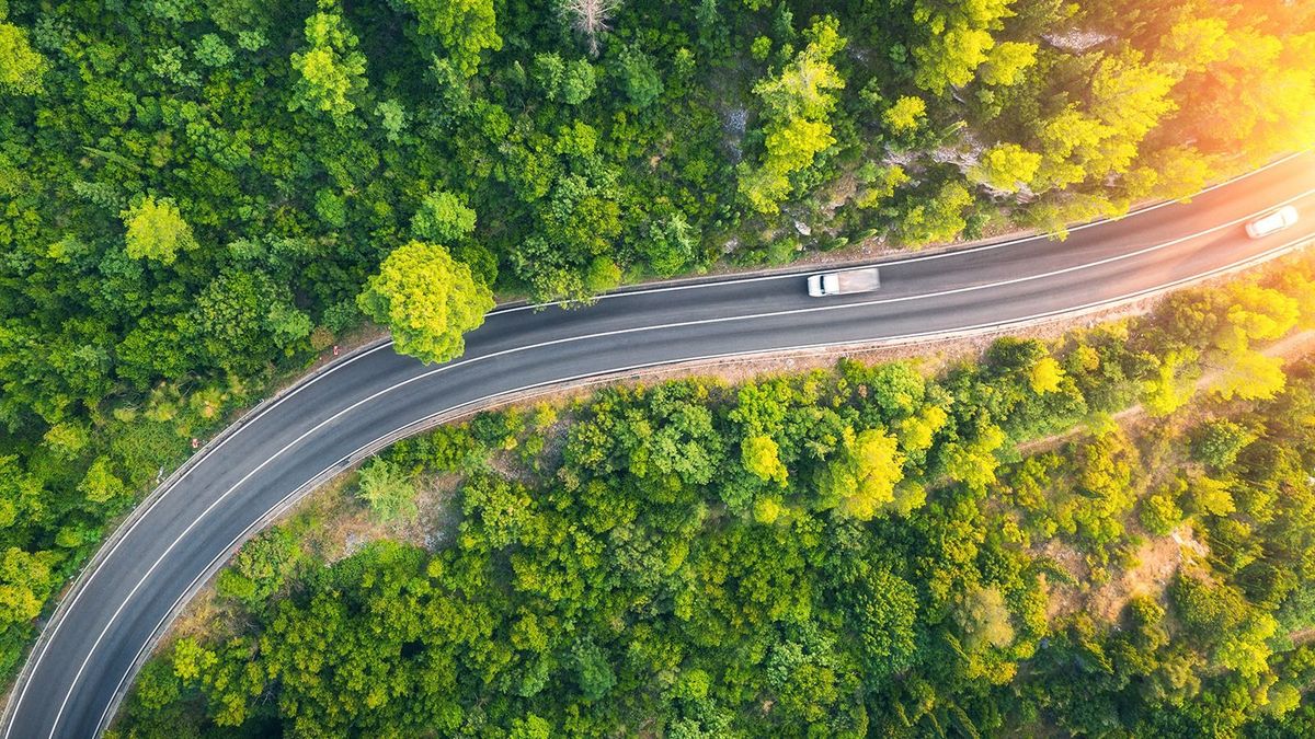 Aerial,View,Of,Road,In,Beautiful,Green,Forest,At,Sunset