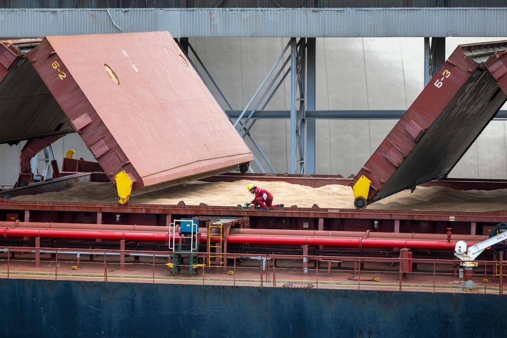 Klaipeda,Lithuania,2023-07-20,Grain,Loading,In,Hold,Of,Bulk,Carrier