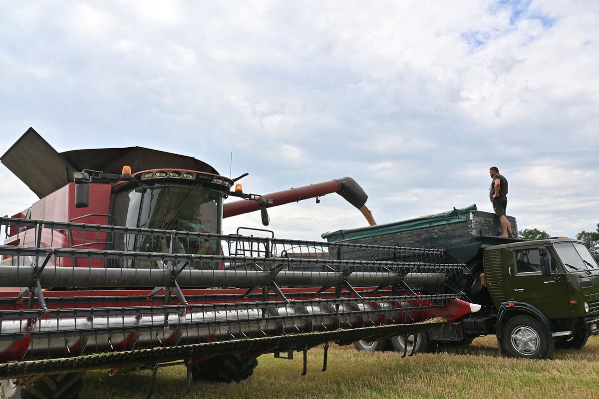 A combine loads grain onto a truck during a wheat harvest at a field near Kivshovata village, Kyiv region on July 18, 2023. Known as the world's "bread basket", Ukraine grows far more wheat than it consumes and it's exports contribute to global food security, especially in African countries, which now fear food shortages. Russia announced on July 17, 2023 a suspension of a deal allowing safe passage for grain cargo ships from Ukrainian Black Sea ports. (Photo by Sergei SUPINSKY / AFP)