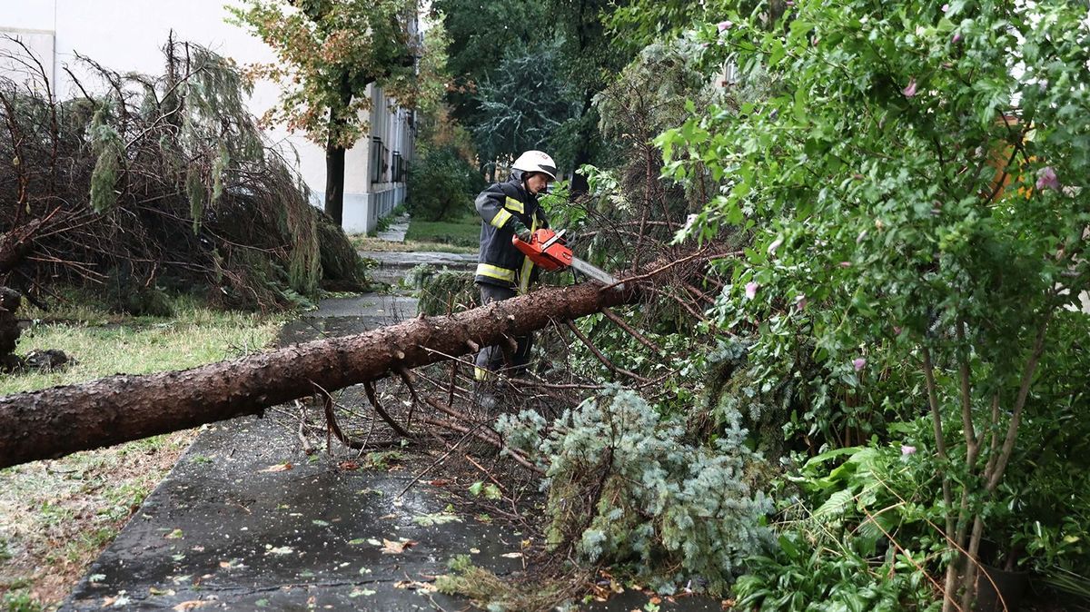20230804 DebrecenA katasztrófavédelem szakemberei a viharban kidőlt fákat vágták a Barna utcán.Fotó: Molnár Péter MPHajdú-Bihari Napló