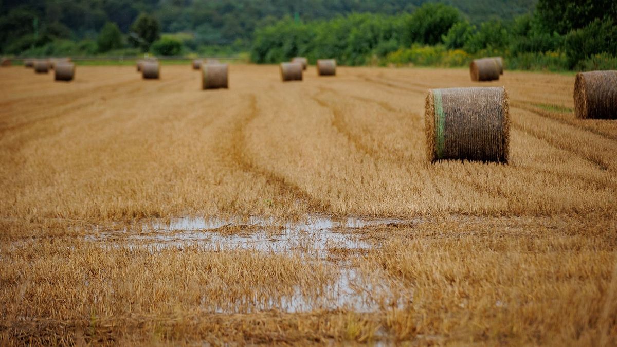 Népszerű az új Agrár Széchenyi Kártya MAX+