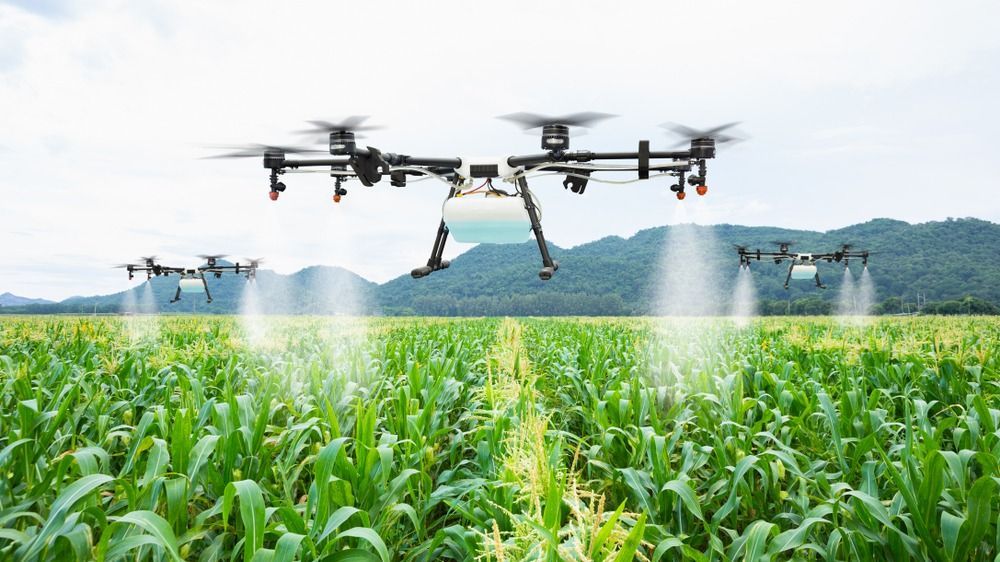 Agriculture,Drone,Fly,To,Sprayed,Fertilizer,On,The,Sweet,Corn