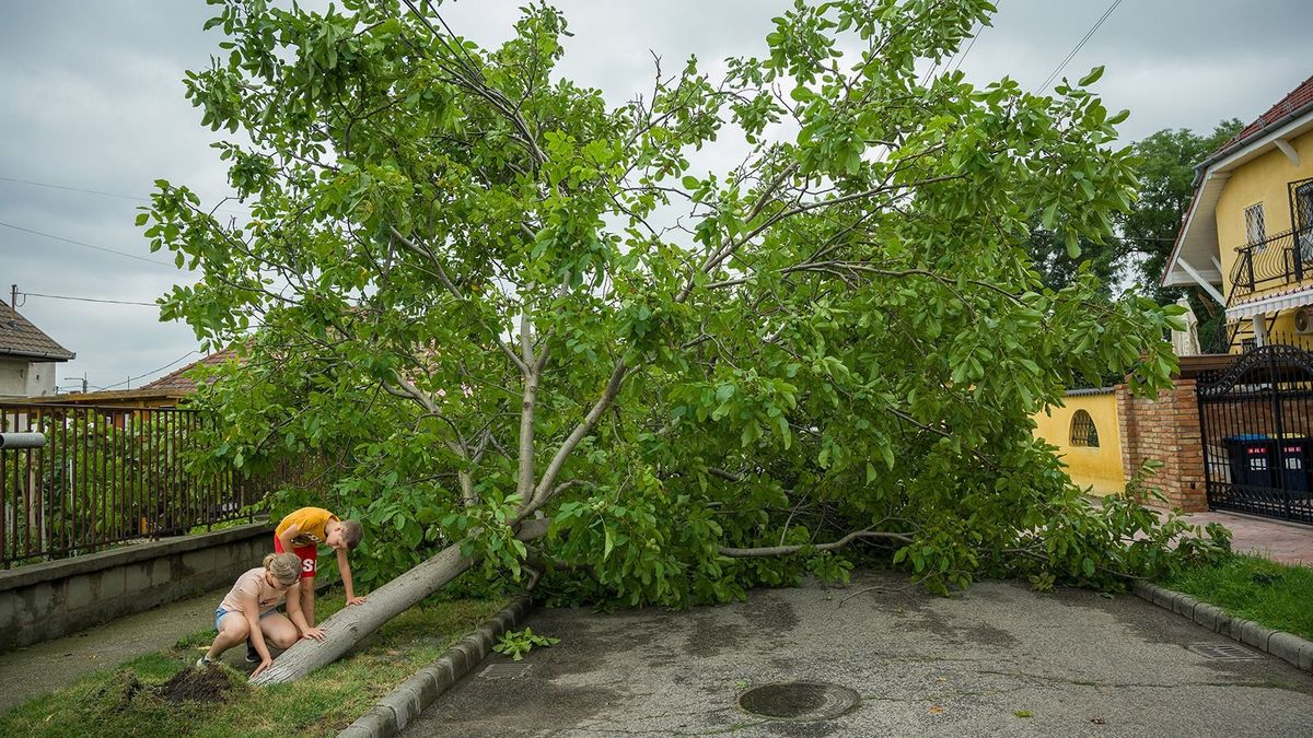 MABISZ-konferencia: növelni kellene a lakásbiztosítási szerződések számát