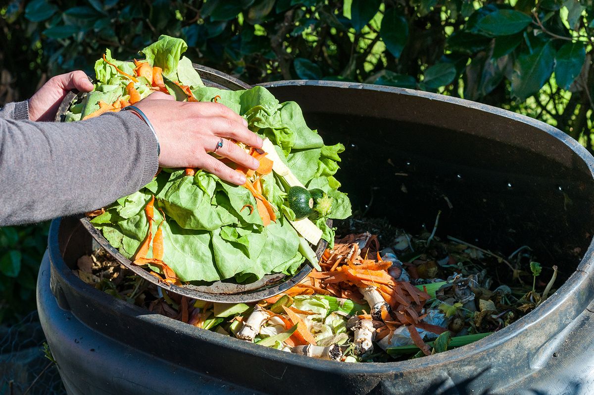 Composting,The,Kitchen,Waste
étel-pocsékolás, kidobás