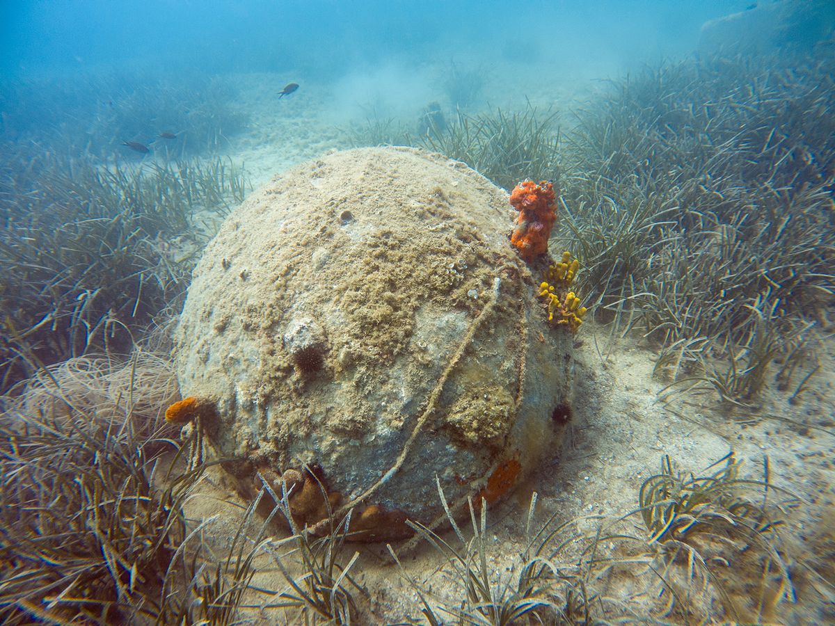 Underwater unexplored ship mine on the bottom of the sea