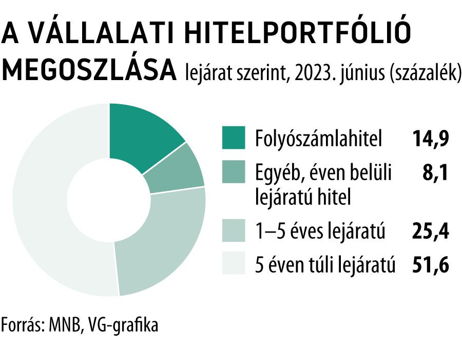 A vállalati hitelportfólió megoszlása
2023. június
