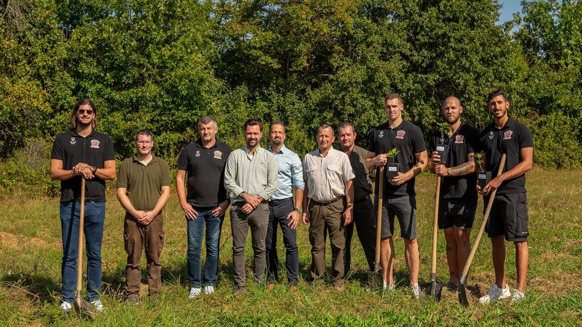 Erdőt kapott a világ egyik legjobb kézilabdacsapata