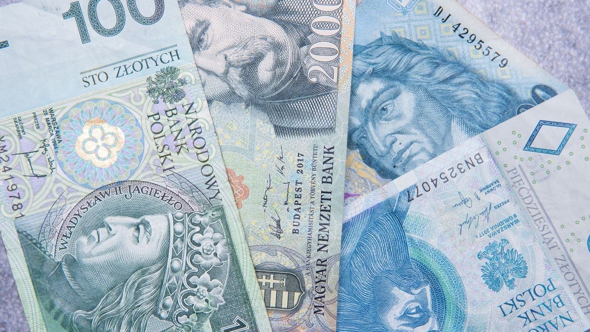 Összeforrt a forint és a zloty mozgása, izgalmas hetek elé tekintenek a közép-európai devizák