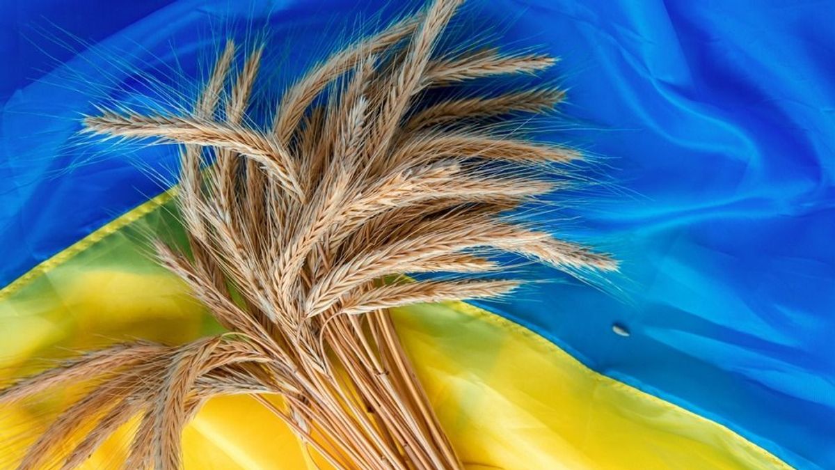 Valódi EU-lépéseket sürgetnek a V4-ek az ukrán gabona ügyében