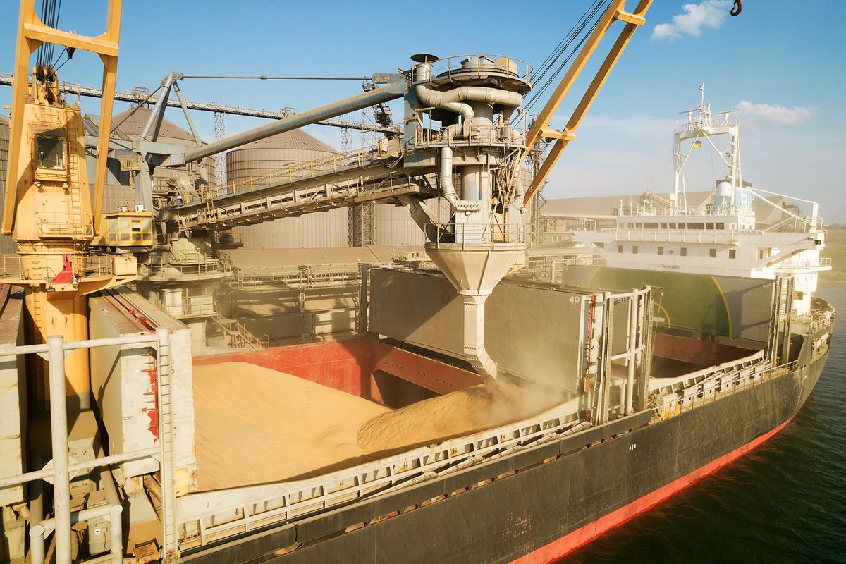 Odessa,,Ukraine,-,August,9,,2021:,Loading,Grain,Into,Holds
ODESSA, UKRAINE - August 9, 2021: Loading grain into holds of sea cargo vessel through an automatic line in seaport from silos of grain storage. Bunkering of dry cargo ship with grain