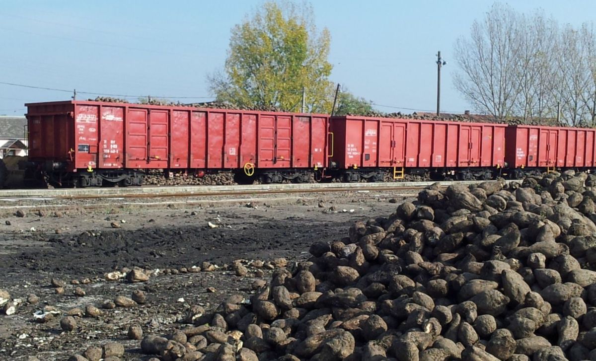A Rail Cargo Hungaria megkezdte a cukorrépafuvarozást