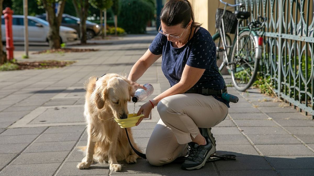 Sem hőségtől, sem esőtől nem kell rettegnünk a héten