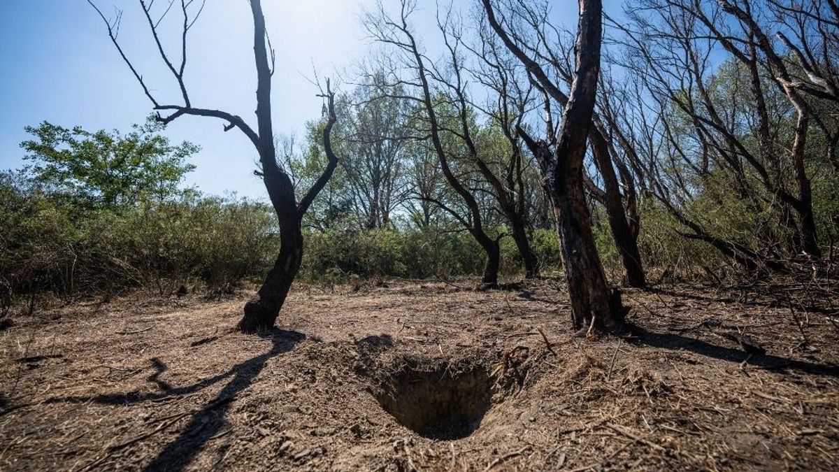 Újabb katonai drón csapódott román területre, Ciolacu miniszterelnök kiakadt a sajtótájékoztatón