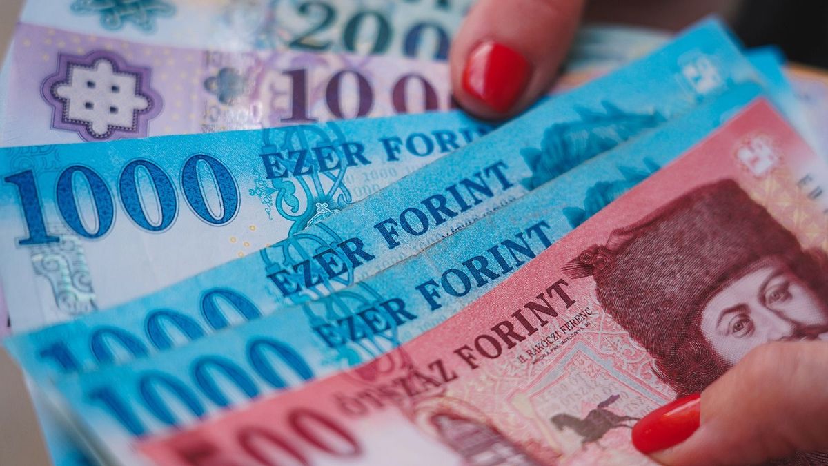 Hungarian Forint Holding In Hand
Hungarian Forint Holding In Hand